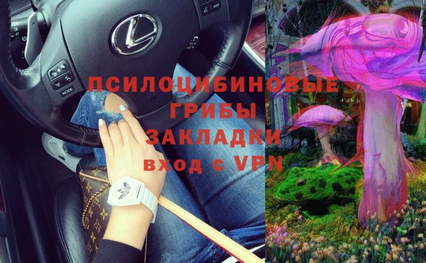метадон Арсеньев