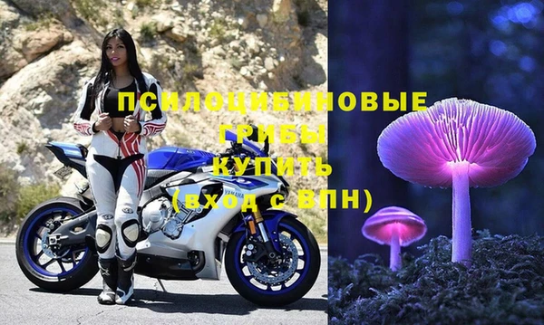 мяу мяу мука Снежинск