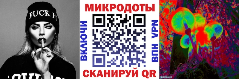 Псилоцибиновые грибы Psilocybine cubensis  Фокино 